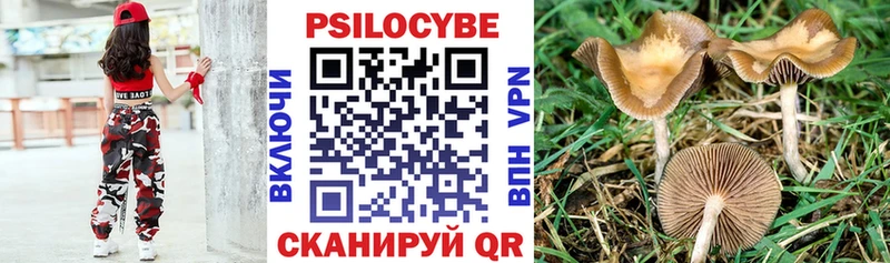 хочу   гидра ТОР  Псилоцибиновые грибы мицелий  Кувшиново 
